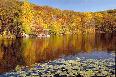 Sterling Forest Corners Pond